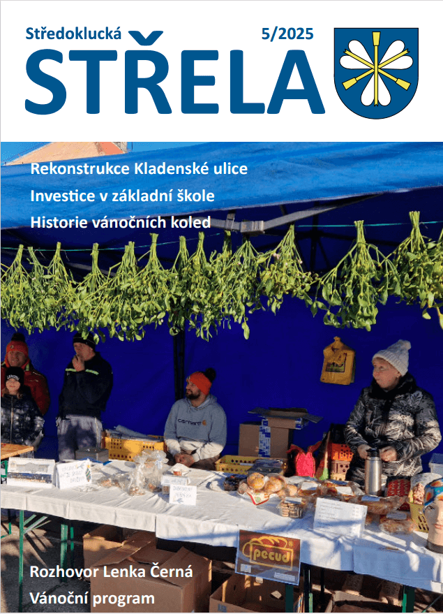 Snímek obrazovky 2025-11-21 120738